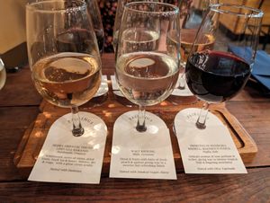 Vegan flight at Pairings Wine Bar in York
