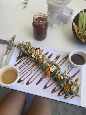 Vegan spring roll  at Sweet and Fit in Puerto Vallarta