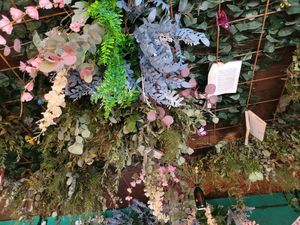  at Grind House Bawtry in Doncaster