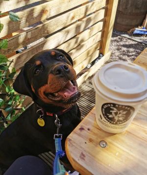  at Grind House Bawtry in Doncaster