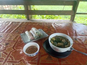 Big Spring rolls and lao mushroom soup at Organic Farm Restaurant in Phoudindaeng