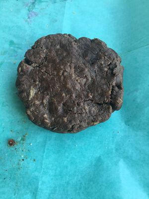 Chocolate Coconut Cookie  at Florish in Tampa