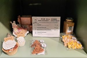 dog treats at Shop Right in Seoul