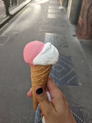 Lemon and Raspberry. Delicious, especially the raspberry. (3,50€) - 5/5. at Artico Gelateria in Milan