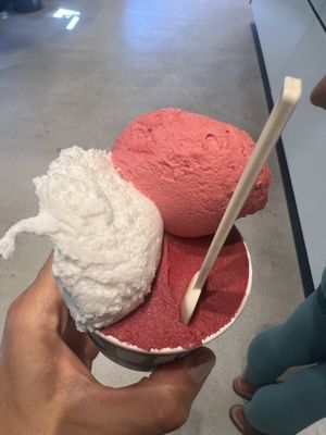 Lampone, limone e mora  at Artico Gelateria in Milan