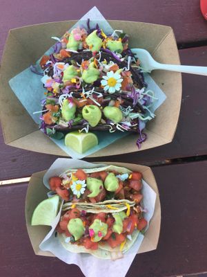   at The Groovy Floret in Portland