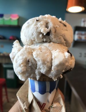 Coconut milk chocolate chip ice cream   at Sweet Cow in Boulder