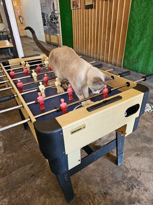 Best employee at Granada Vegan Kitchen in Ensenada