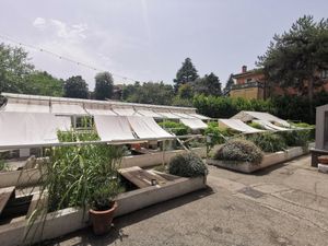 Serre at Vetro - Maybe closed in Bologna