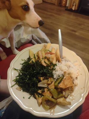  at Full Circle in South Shields