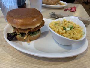 Chicken, bacon, avocado sandwich with Mac n cheese   at Native Foods - The Loop in Chicago
