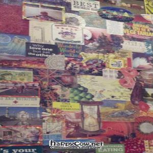 Notice the Happy Cow sticker in the collage.  :) at Native Foods - Lakeview in Chicago