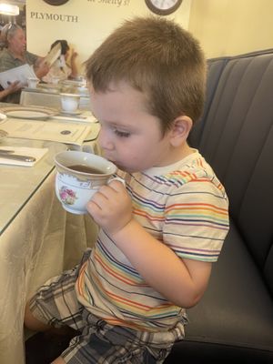   at Shelly's Tea Rooms in Plymouth