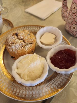 Vegan raisin scone with vegan butter, jam, and clotted cream at Shelly's Tea Rooms in Plymouth