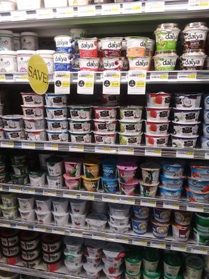 Many vegan yogurts at Ada's Natural Market & Cafe in Fort Myers