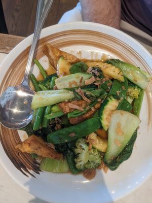 Green garden at Spice Market in Fremantle