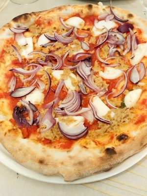 Amazzonia at Renato Pizza e Natura in Castenaso