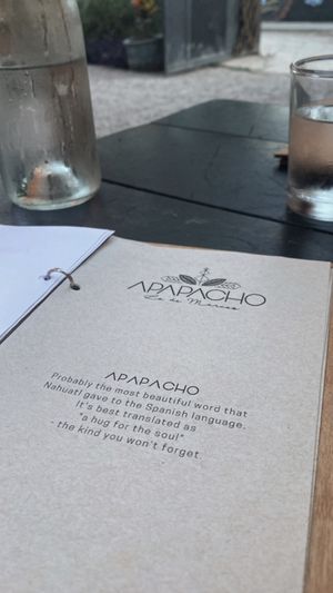 hug for the soul  at Apapacho in Lo De Marcos