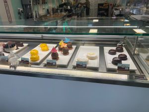   at Origamy Gelato in Sunrise