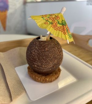 Coconut Crunchy   at Origamy Gelato in Sunrise