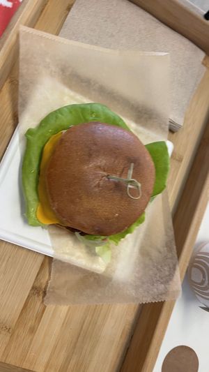   at Origamy Gelato in Sunrise