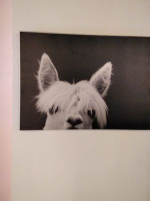  at Más Que la Cresta in Cadiz