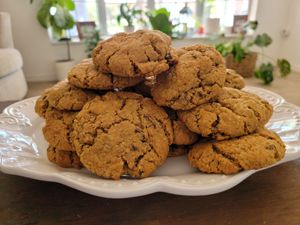 Vegan and GF Oatmeal raisin cookies at The Sweet Vegan  in Lakeland