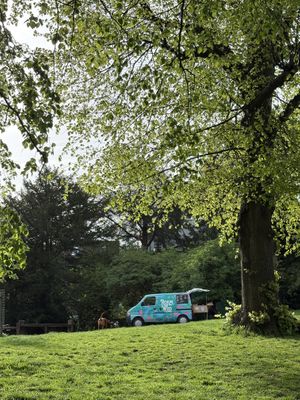   at Roam Wild Coffee in Bristol