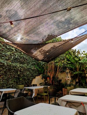 Heerlijke maaltijd, gezellig terras en een heel vriendelijke bediening! at Orathai in Oudenaarde