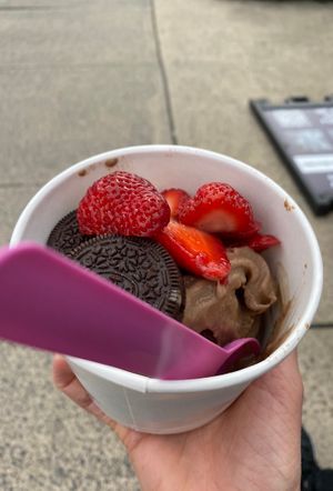 peppermint chocolate with strawberries and oreos !  at Fruity Yogurt in Princeton