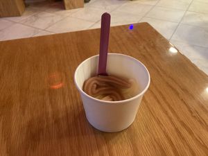 Vegan ice treat  at Fruity Yogurt in Princeton