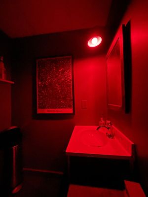 Weird af lighting in bathroom. I’d recommend bringing a flashlight.  at Plant in Asheville