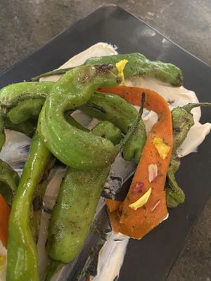   at Plant in Asheville