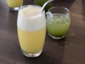   at Plant in Asheville