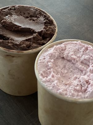 Mint Fudge and Strawberry coconut ice creams to go    at Plant in Asheville