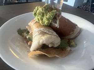   at Plant in Asheville