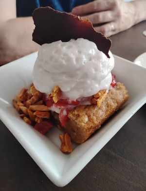 Brookie, strawberry ice cream, rhubarb, mint chocolate  at Plant in Asheville