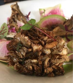 Maitake Mushrooms at Plant in Asheville