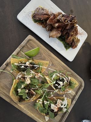 Lion Steak Tostadas and Actually Crispy Potatoes  at Plant in Asheville
