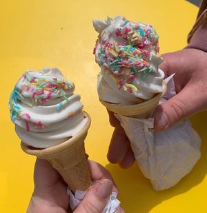   at Loopy Scoops in York