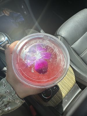 Pretty 🌺 🌸 flower  at Steady Eddy's Cafe at the Market in Flint