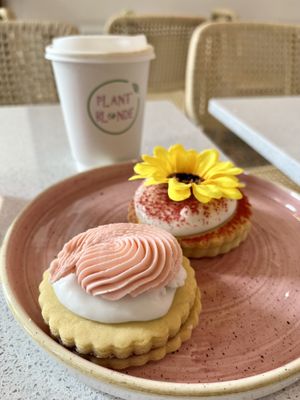   at Plant Blonde in Glasgow