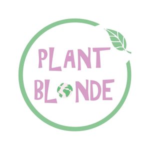   at Plant Blonde in Glasgow