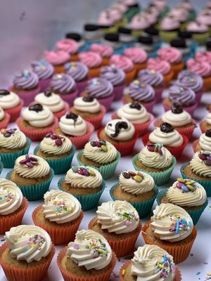   at Plant Blonde in Glasgow