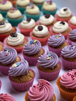   at Plant Blonde in Glasgow