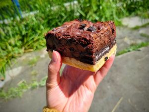  at Plant Blonde in Glasgow