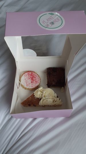 Raspberry empire, slutty brownie, cookie slice at Plant Blonde in Glasgow