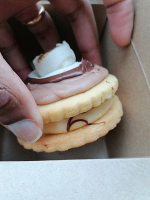 Smores sandwiche at Plant Blonde in Glasgow