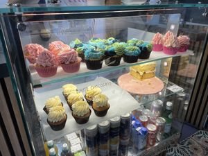 Display case   at Plant Blonde in Glasgow