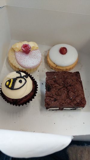 Left to right: lemon and raspberry empire biscuit, OG empire, chocolate cupcake, oreo brownie at Plant Blonde in Glasgow